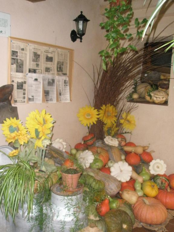 La Huerta De San Lorenzo Hotel Segovia Ngoại thất bức ảnh