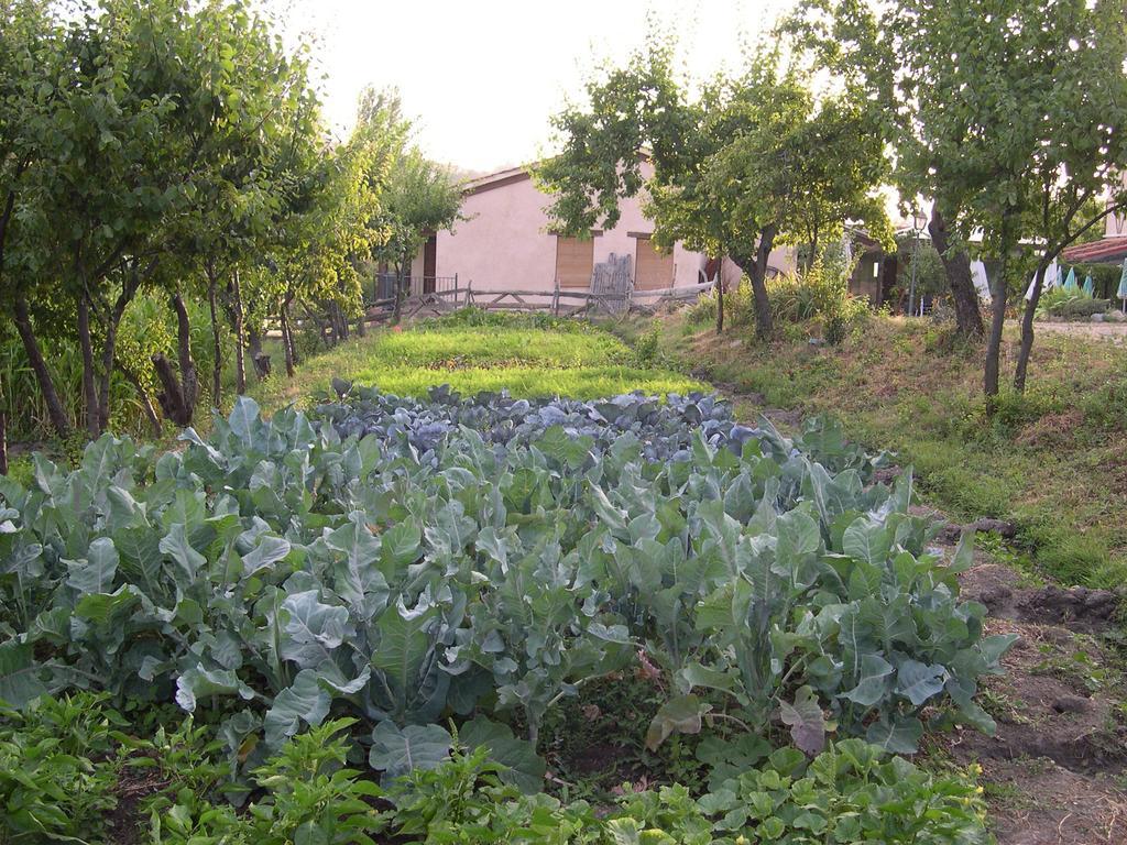 La Huerta De San Lorenzo Hotel Segovia Ngoại thất bức ảnh